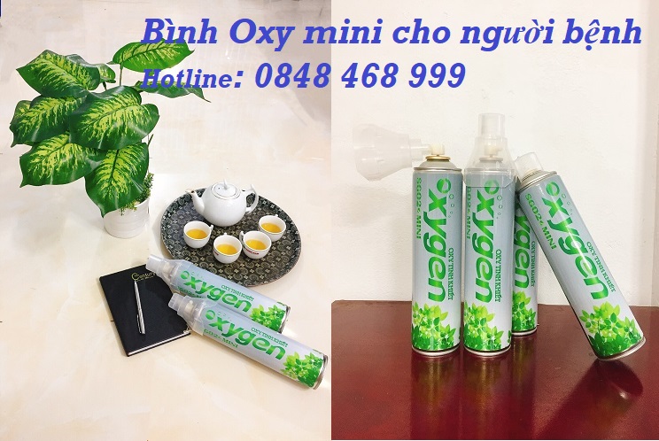 Binh-oxy-mini-cho-nguoi-benh.jpg